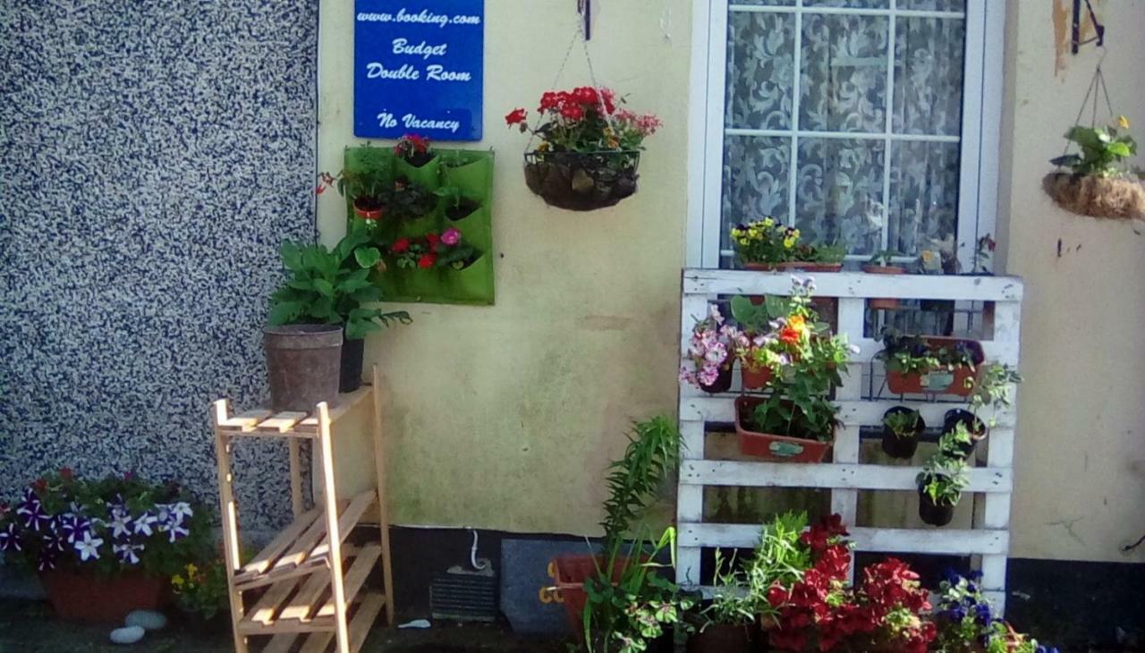 City Cottage Guest House プリマス エクステリア 写真